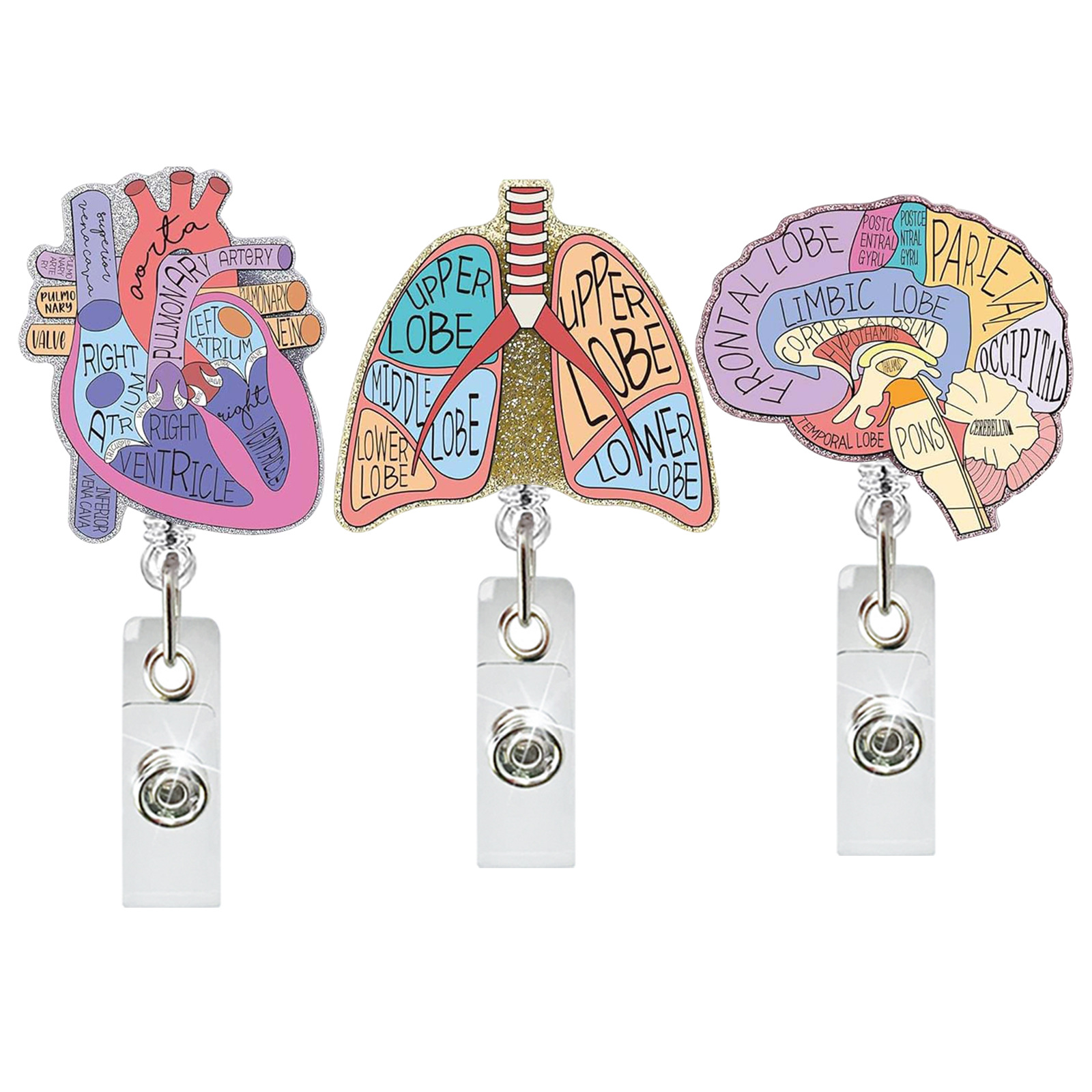 Medical Care Heart Lungs Brain - Xray Tech Accessories 评论和价格