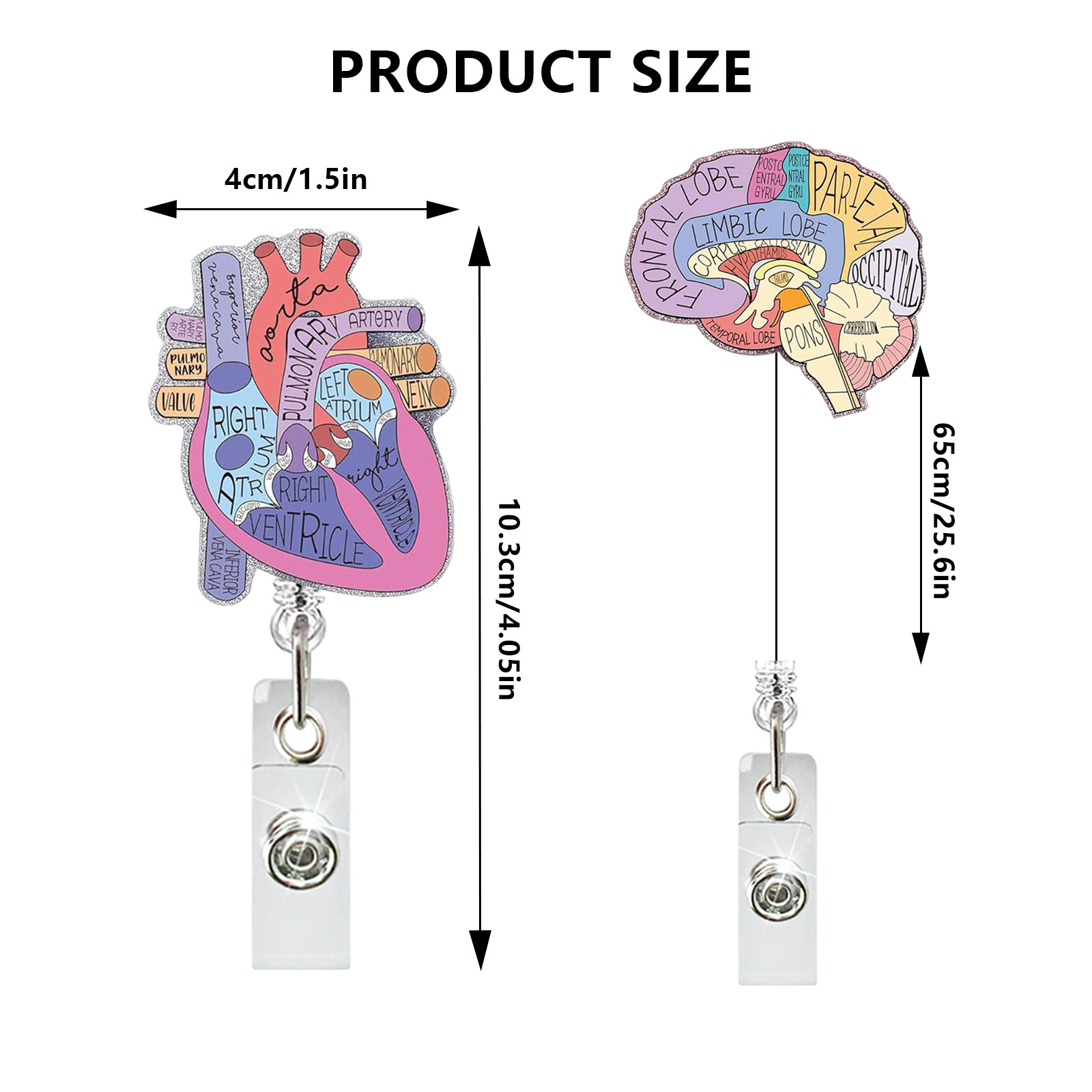 Medical Care Heart Lungs Brain - Xray Tech Accessories 评论和价格