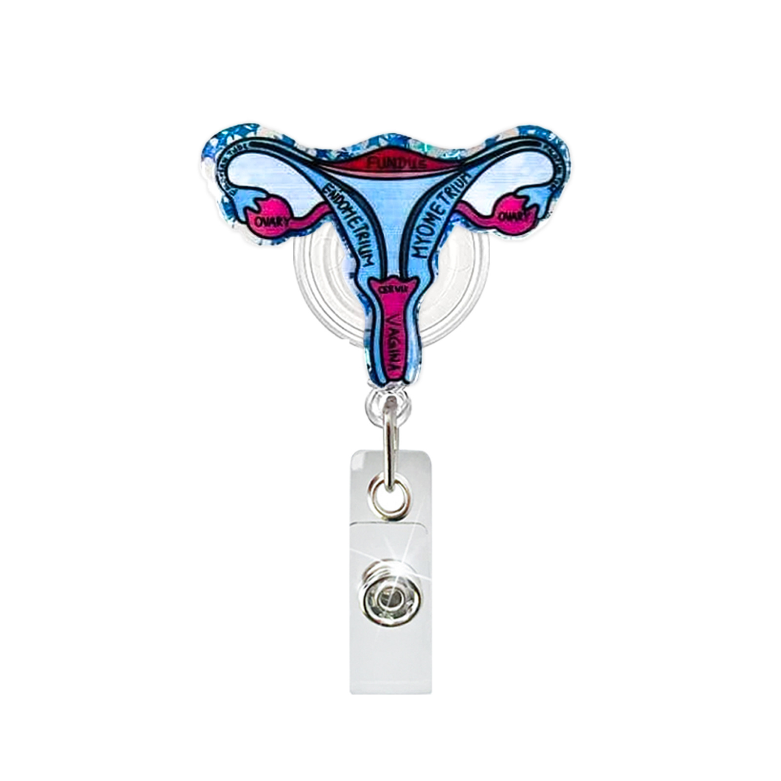 Acrylic Heart Lung Brain Kidne - Xray Tech Accessories 评论和价格